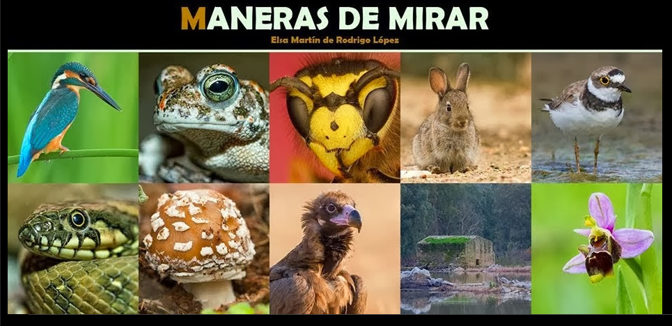 Elsa maneras de mirar naturgis