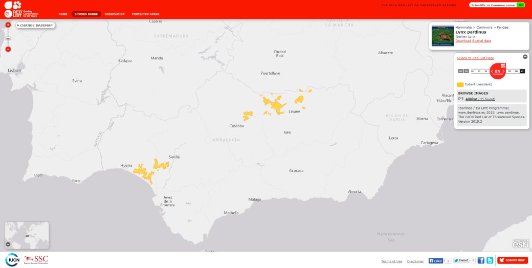 mapa lince iberico iucn naturgis