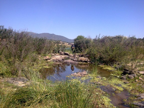 NaturGIS Caudales Ecológicos