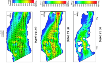 NaturGIS River2D caudales