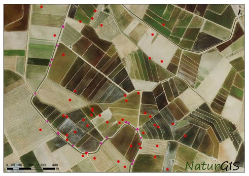 Datos SIG en campo NaturGIS Fauna