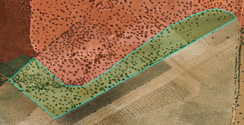 Dehesa Extremadura NaturGIS Dron Cartografía ajuste actualización