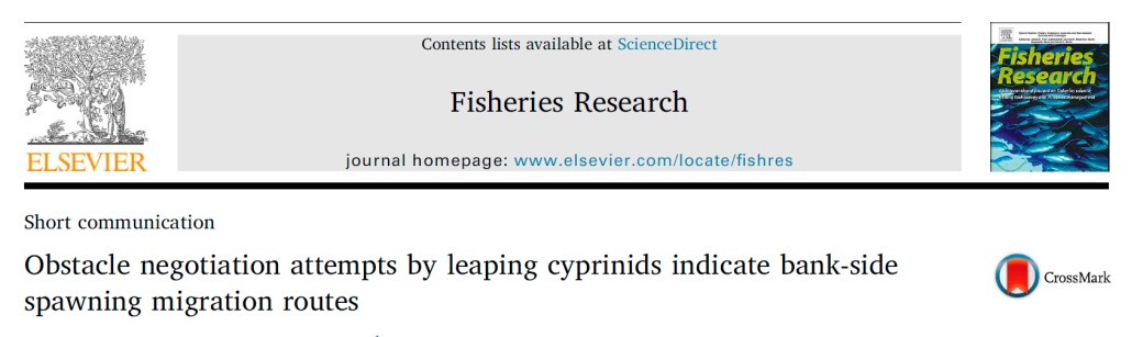 Articulo preferencia de salto de los peces extremadura