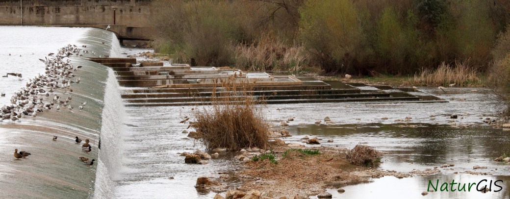 Azud de Badajoz sobre el río Guadiana