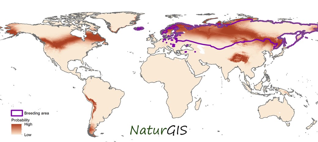 Ejemplo de mapa mundial de probabilidad por isótopos estables de fauna (aves) naturgis
