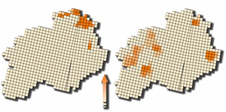 Hotspot de Mariposas y Aves en el proyecto ECCOMAP