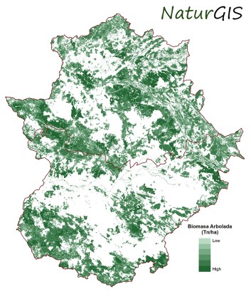 Cartografía SIG de la Biomasa Arbolada para Centrales Térmicas en Extremadura