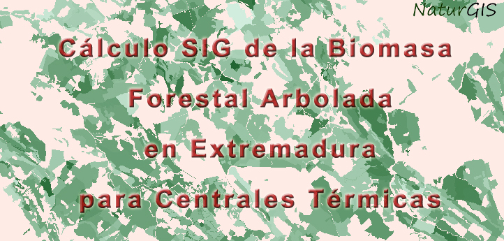 Cálculo SIG de la Biomasa Forestal Arbolada en Extremadura para Centrales Térmicas