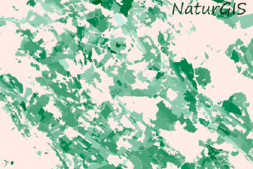 Localización óptima Centrales Térmicas de Biomasa Arbolada