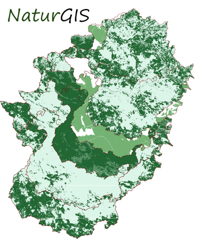 Cartografía de las Variables de la Biomasa Arbolada para Centrales Térmicas en Extremadura