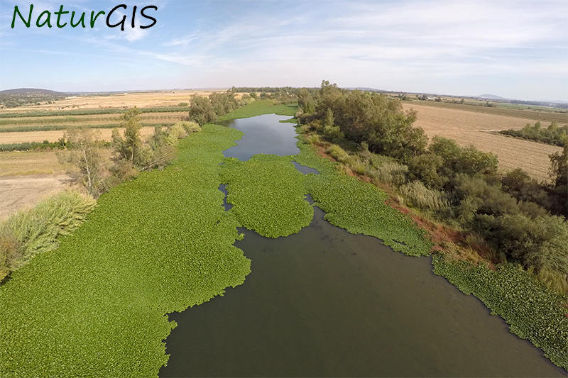 Camalote Badajoz Drones NaturGIS