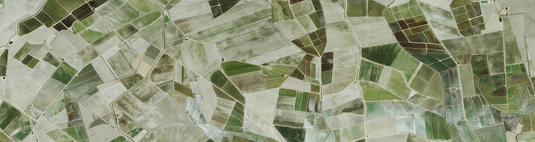 Ecología del Paisaje con Fragstats en Extremadura