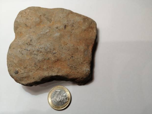 Restos fósiles de los organismos ediacáricos de la zona de estudio NaturGIS