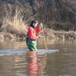 Consultoría ambiental