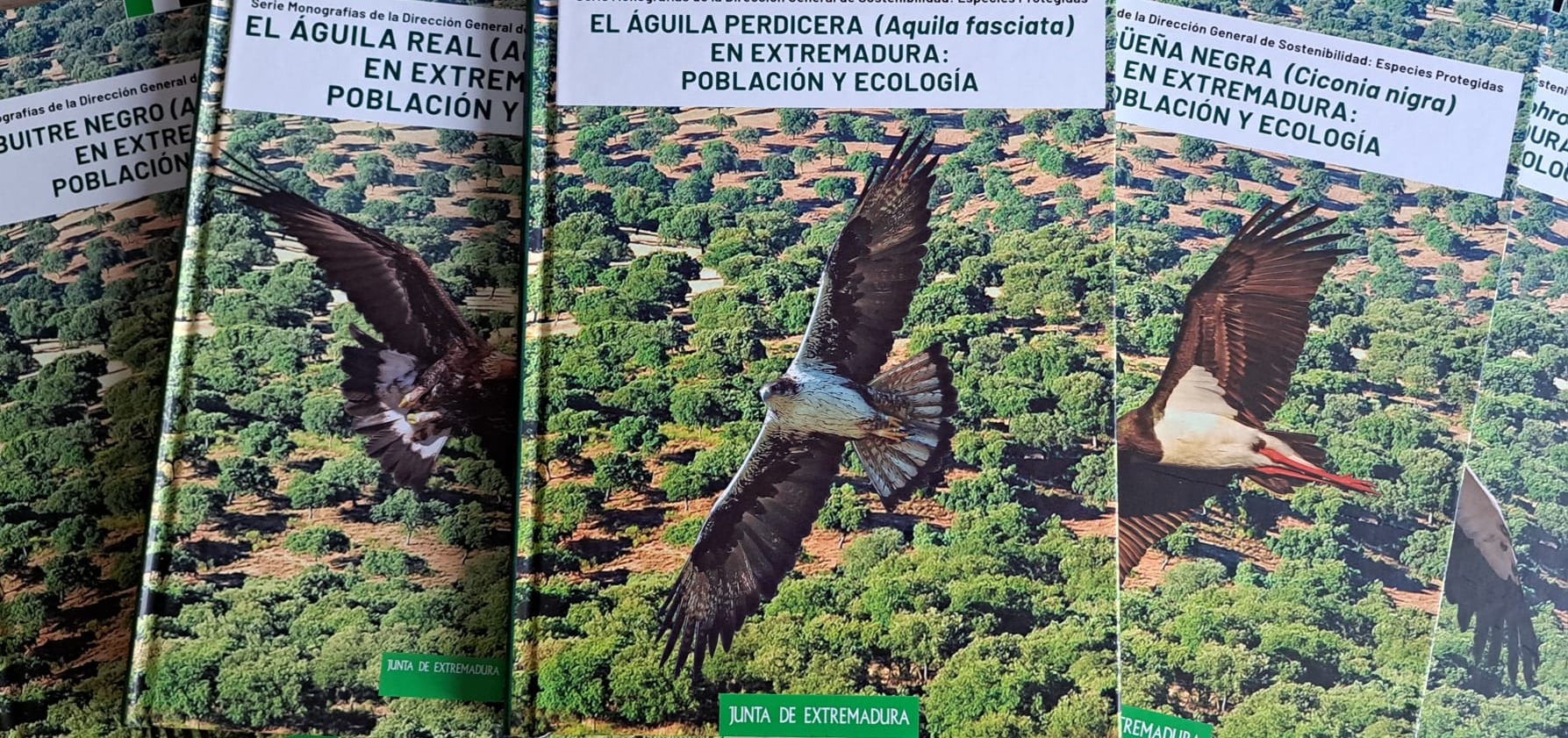 Aguila Perdicera Extremadura