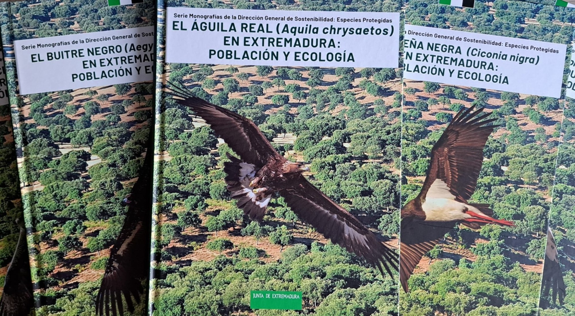 Aguila Real Extremadura