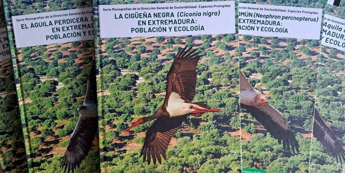 Cigüeña Negra Extremadura